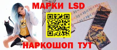 гашик Моздок