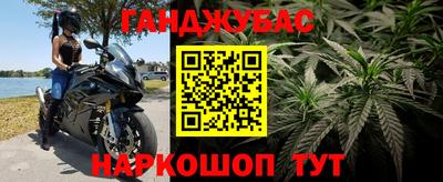 гашик Можайск