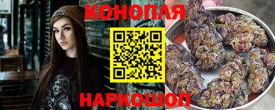гашик Можайск