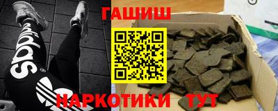 гашик Моздок