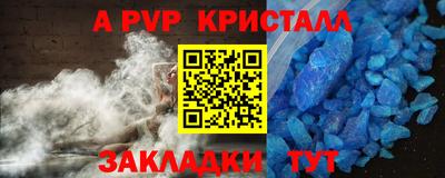 гашик Моздок